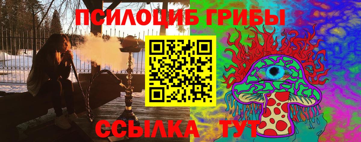 Галлюциногенные грибы прущие грибы Надым